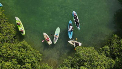 Kayak Tour in Cancun with Photos included