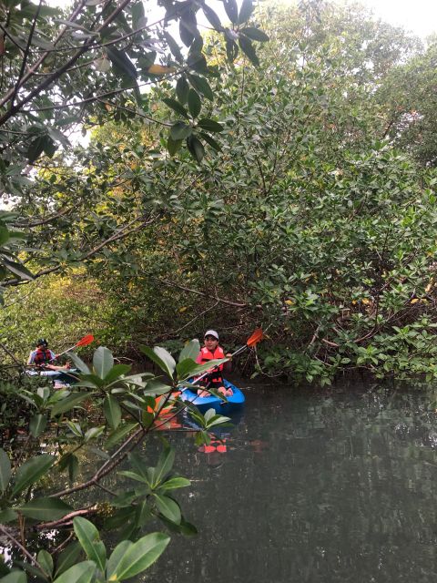 Kayak Tour in Cancun with Photos included - What the $45 price really covers