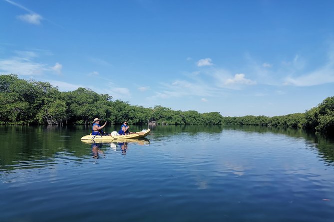 Kayak TOUR POR Laguna Nichupte Cancun - Guides who shape the experience
