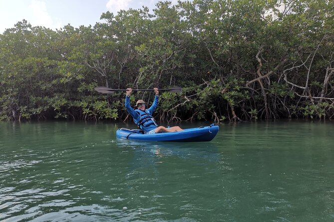 Kayak TOUR POR Laguna Nichupte Cancun - Is $38 good value?