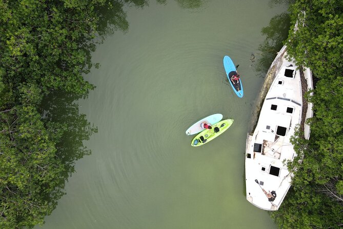 Kayaking Tour in Cancun - Who Will Enjoy This Lagoon Tour Most?
