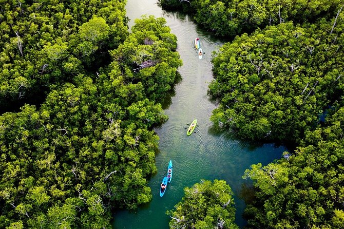 Kayaking Tour in Cancun - My Call: Book It If You Want a Quiet Water Outing