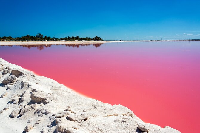 Las Coloradas and Rio Lagartos Tour with All Inclusive - The crocodile farm is memorable, but not for everyone