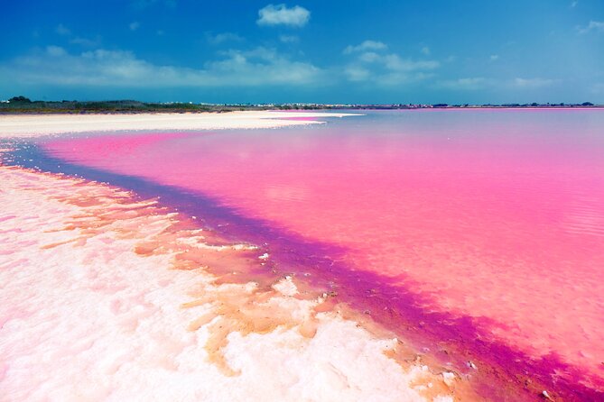 Las Coloradas and Rio Lagartos Tour with All Inclusive - What you eat during the long day