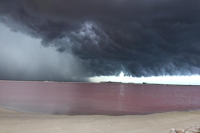 Las Coloradas Pink Lakes & Río Lagartos Wildlife Tour - Río Lagartos by Boat, With Birds and Crocodiles