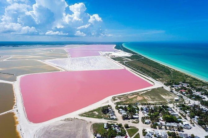 Las Coloradas Tour! Boat Ride, Lunch & Rio Lagartos from Cancun - Ría Lagartos by boat