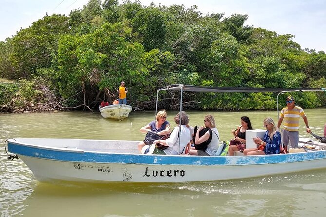 Las Coloradas Tour! Boat Ride, Lunch & Rio Lagartos from Cancun - The transport reality from Cancun
