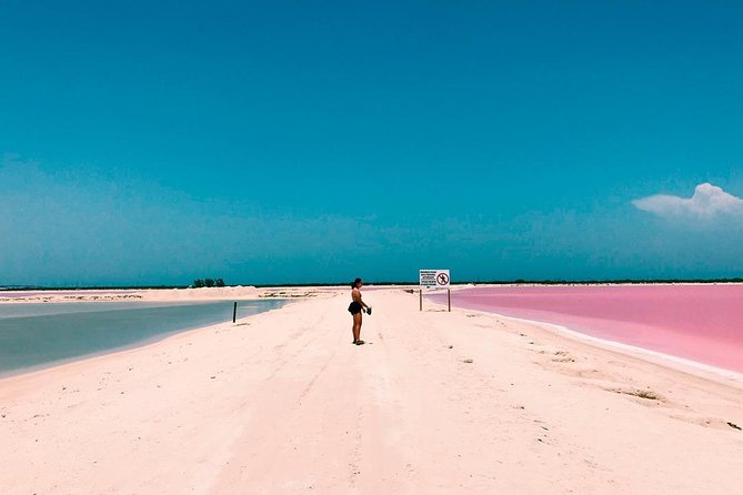 Las Coloradas Tour! Boat Ride, Lunch & Rio Lagartos from Cancun - How the tour handles value