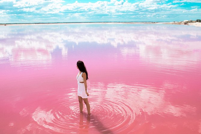 Las Coloradas Tour from Cancun and Playa del Carmen - A practical meal plan on a 13-hour outing