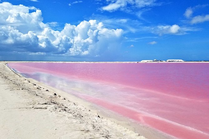 Las Coloradas Tour from Cancun and Playa del Carmen - The crocodile conservation stop adds real purpose