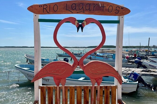 Las Coloradas Tour to Pink Lakes and Wildlife Wonders - The real cost of the tour