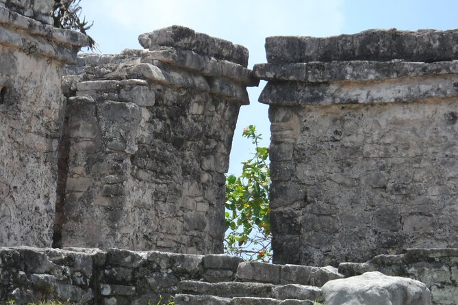 LDS Tour to Tulum Ruins + Cenote - What the $250 price includes