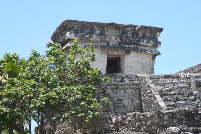 LDS Tour to Tulum Ruins + Cenote - Who will get the most from this tour
