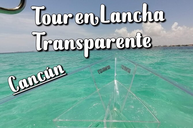 Live Cancun from our Transparent Boat - What to bring for comfort and wildlife watching