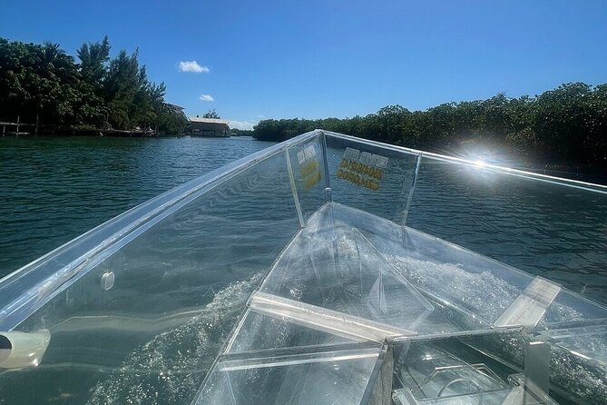 Live Cancun from our Transparent Boat - Who will enjoy this most