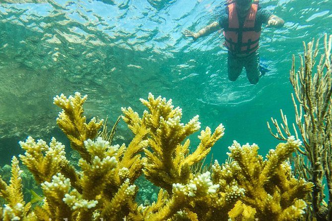 Local Fishing Plus Snorkeling Tour in Isla Mujeres - Fishing first, snorkeling second
