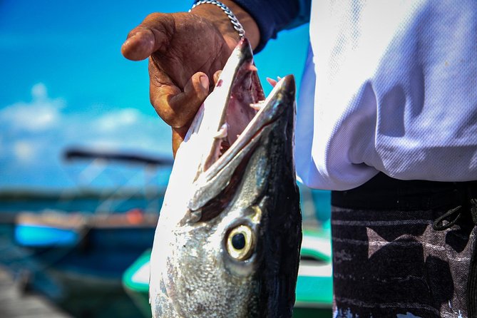Local Fishing Plus Snorkeling Tour in Isla Mujeres - Why the private format matters