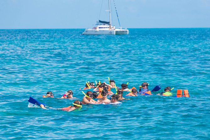 Luxury Catamaran tour to Isla Mujeres with transportation from Playa del Carmen - Getting from Playa del Carmen to the boat