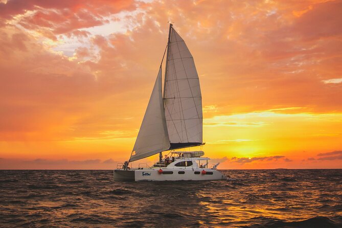 Luxury Sunset Sailing Cruise in Cancun with Light Dinner and Open Bar - The sunset sail across the Mexican Caribbean
