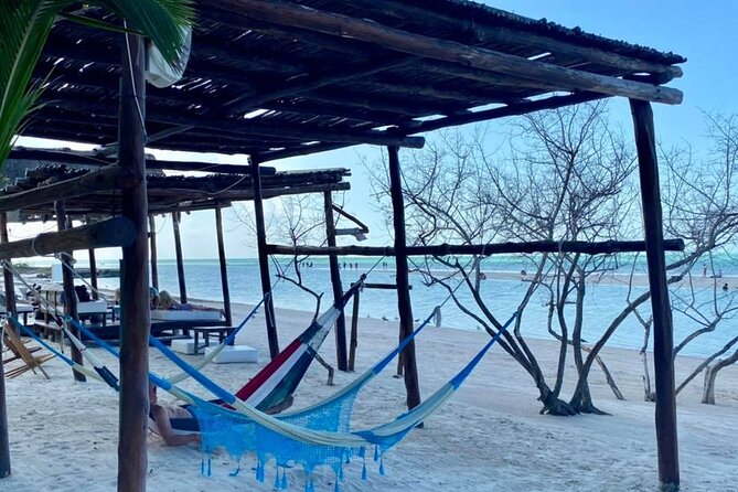 Magic Island Holbox! Experience From Cancun & Playa del Carmen - Yalahau Cenote: A Freshwater Start