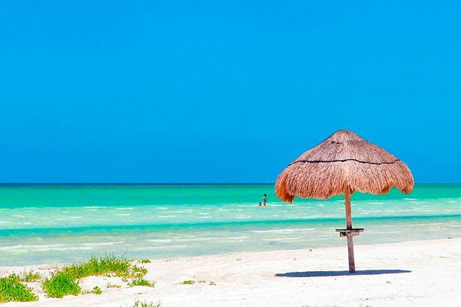Magic Island Holbox! Experience From Cancun & Playa del Carmen - Punta Mosquito and the Shallow Water
