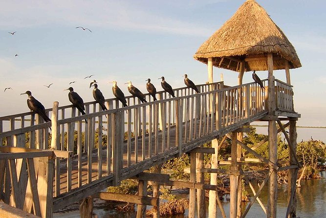 Magic Island Holbox! Experience From Cancun & Playa del Carmen - What the $142 Price Really Covers