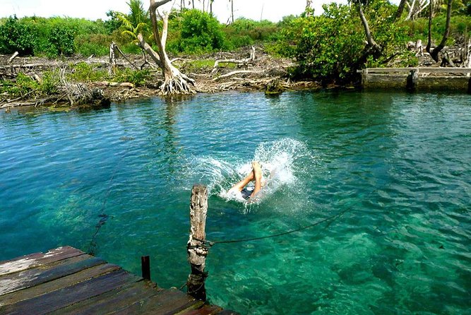 Magic Island Holbox! Experience From Cancun & Playa del Carmen - Who Should Book This Holbox Excursion