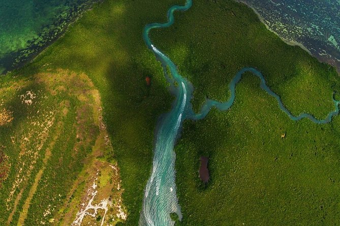 Mangrove and Lagoon Speed Boat Tour - From hotel views to mangrove turns