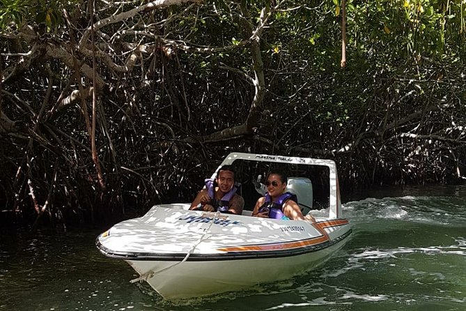 Mangrove and Lagoon Speed Boat Tour - Booking, weather, and cancellation details
