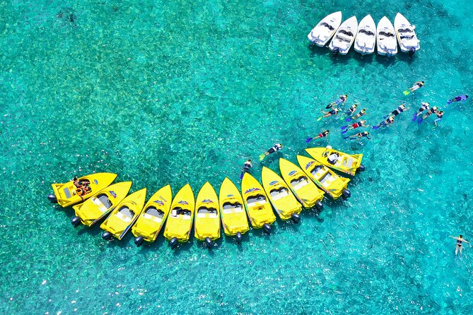 Mangrove Jungle Speedboat Experience - Punta Nizuc and the Mayan Coral Reef snorkeling stop