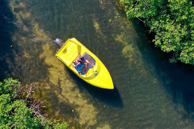 Mangrove Jungle Speedboat Experience - Who should choose this experience