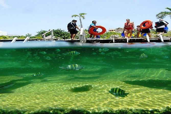 Mayan Adventure from Playa del Carmen - The cenote: a natural pool formed by collapsed limestone