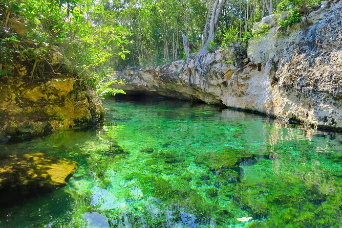 Mayan Cenotes Experience with Mayan Ruins or Local Community - Guides can shape the whole day