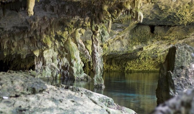 Mayan Ceremonial Night: Temazcal, Cenote Swim and Dinner from Playa del Carmen - Key details before you book