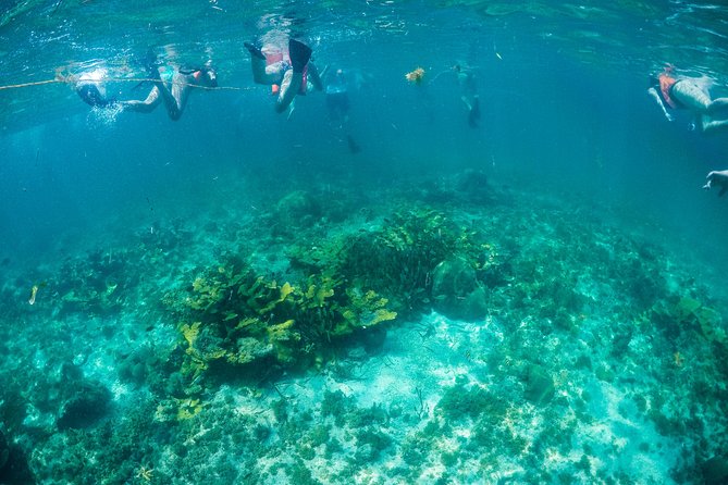 Mujeres Island Tour by Catamaran from Cancun City - Is the golf-cart add-on worth it?