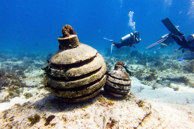 MUSA Museum and Colorful Reef 2 Tank Dive-Certified Divers - MUSA turns a reef into an underwater gallery