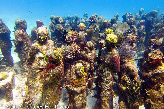 MUSA Museum and Colorful Reef 2 Tank Dive-Certified Divers - Marine life is the bonus beyond the sculptures