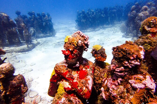 MUSA Museum and Colorful Reef 2 Tank Dive-Certified Divers - Who will get the most from this outing