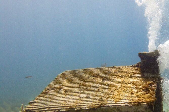 MUSA Museum and Colorful Reef 2 Tank Dive-Certified Divers - Practical details that can save you trouble
