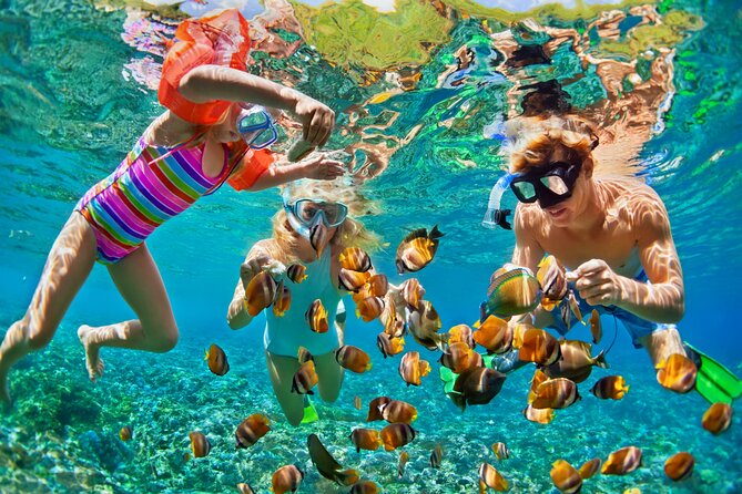 Nizuc Reef Snorkel Experience - Starting at Aquaworld on Cancun’s Hotel Zone