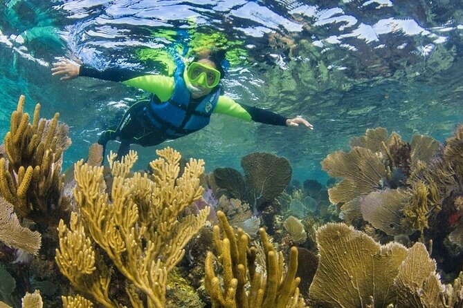 Nizuc Reef Snorkel Experience - What the $59 price really covers