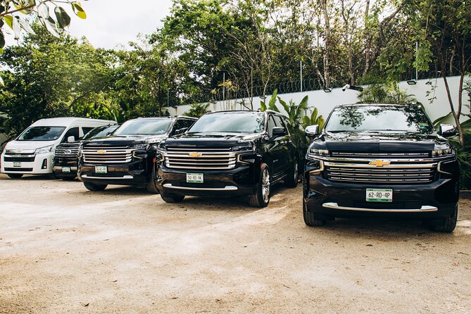 One Way Private Transfer Cancun Int Airport - Playa del Carmen - A private start to your Playa del Carmen stay