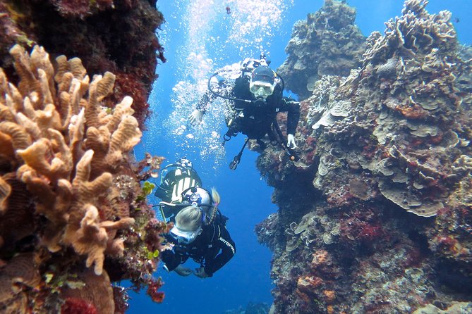 Open Water Diver course PADI in Cancun - What the $600 price really covers