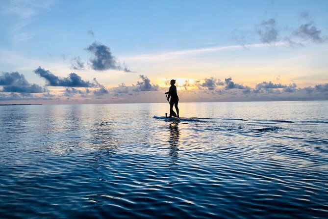 Paddle Board at Sunrise or Sunset in Cancun - Why this paddleboard outing feels different from a beach morning