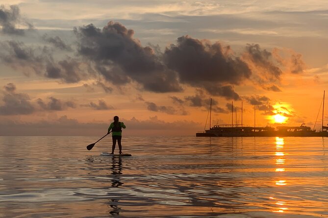 Paddle Board at Sunrise or Sunset in Cancun - Paddling through the mangrove setting