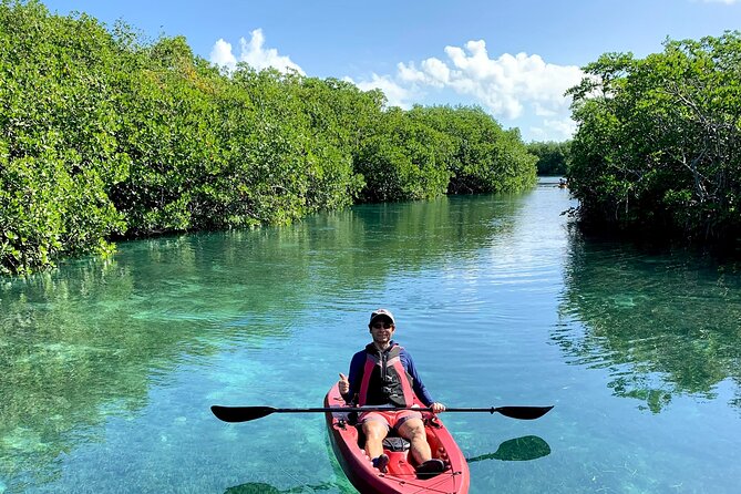Paddleboard Kayak Tour in Cancun - Why the free photos and videos matter
