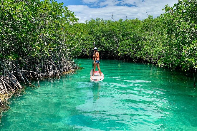 Paddleboard Kayak Tour in Cancun - Timing the two-hour outing