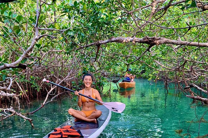 Paddleboard Kayak Tour in Cancun - Who will enjoy this Cancun paddle