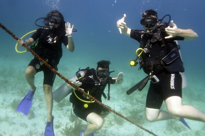 PADI Discover Scuba Diving for divers without certification - A first underwater session made for beginners