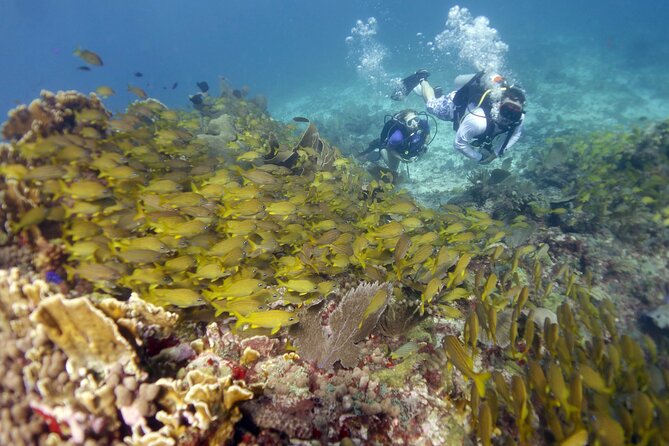 PADI Discover Scuba Diving for divers without certification - The five-hour schedule and meeting details